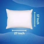 floor cushions 17 by 27