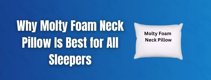 Molty Foam Neck Pillow